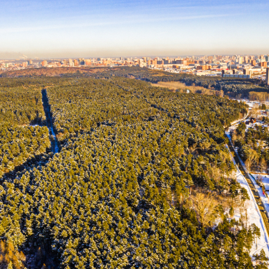 Заельцовский парк